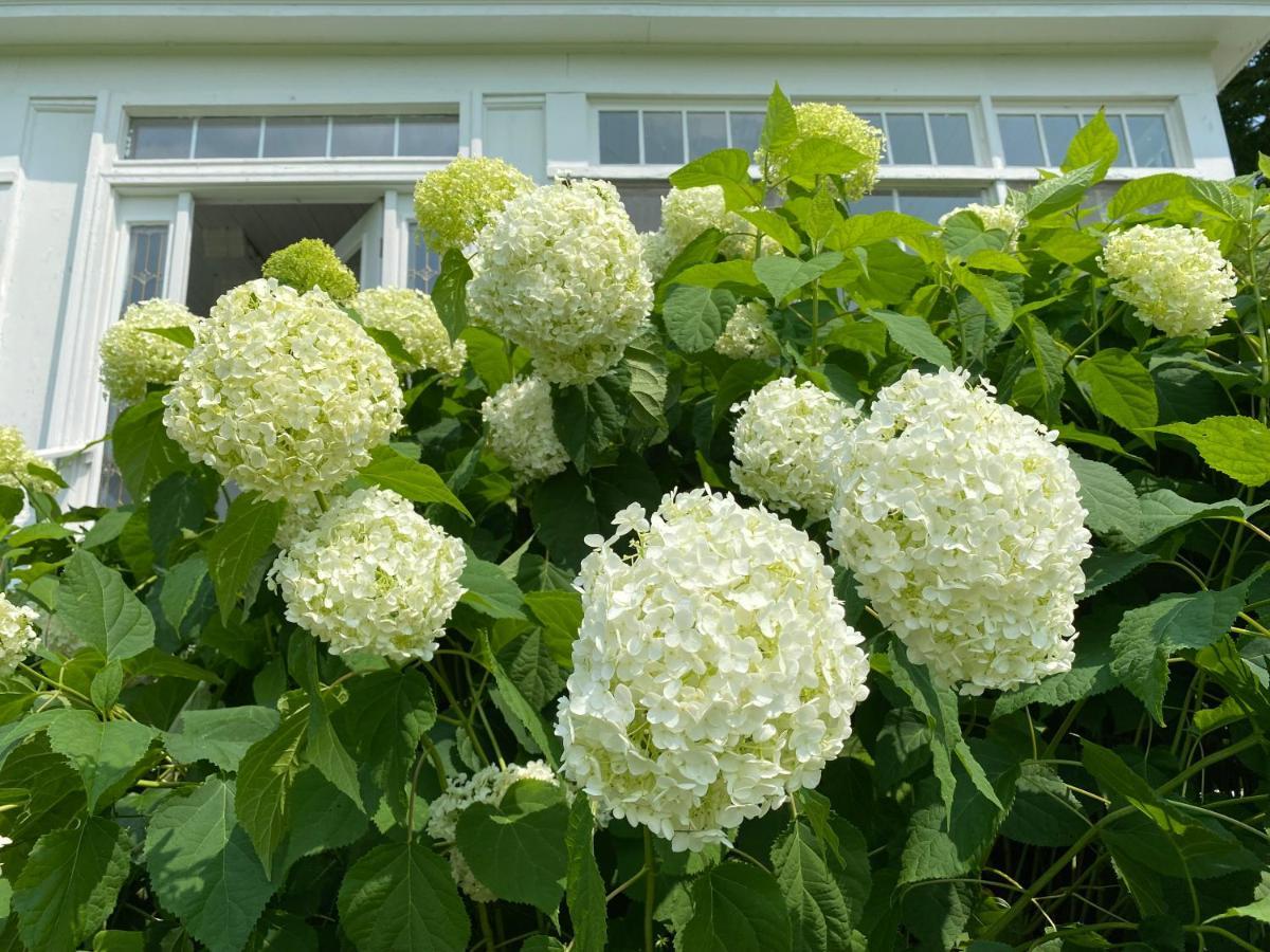 Bloom Farm Guesthouse Mount Vision Eksteriør billede
